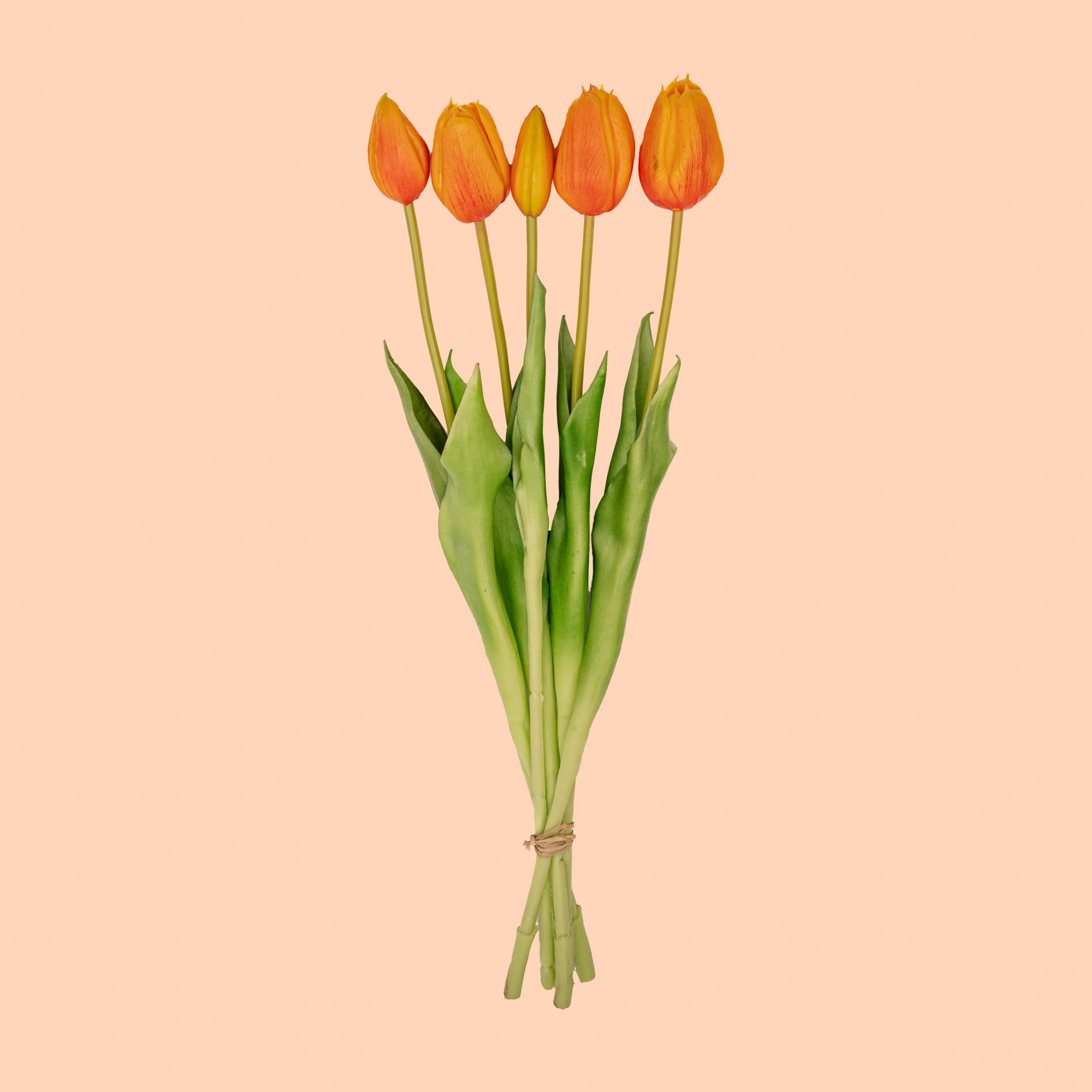 Tulpen boeket Oranje en pot. Plante verte type Tulpen boeket Oranje, livrée en pot, idéale pour intérieur lumineux.