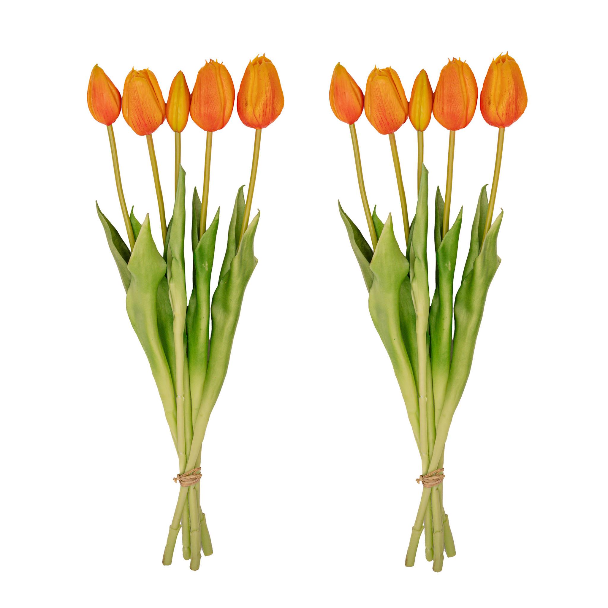 Tulpen boeket Oranje en pot. Plante verte type Tulpen boeket Oranje, livrée en pot, idéale pour intérieur lumineux.