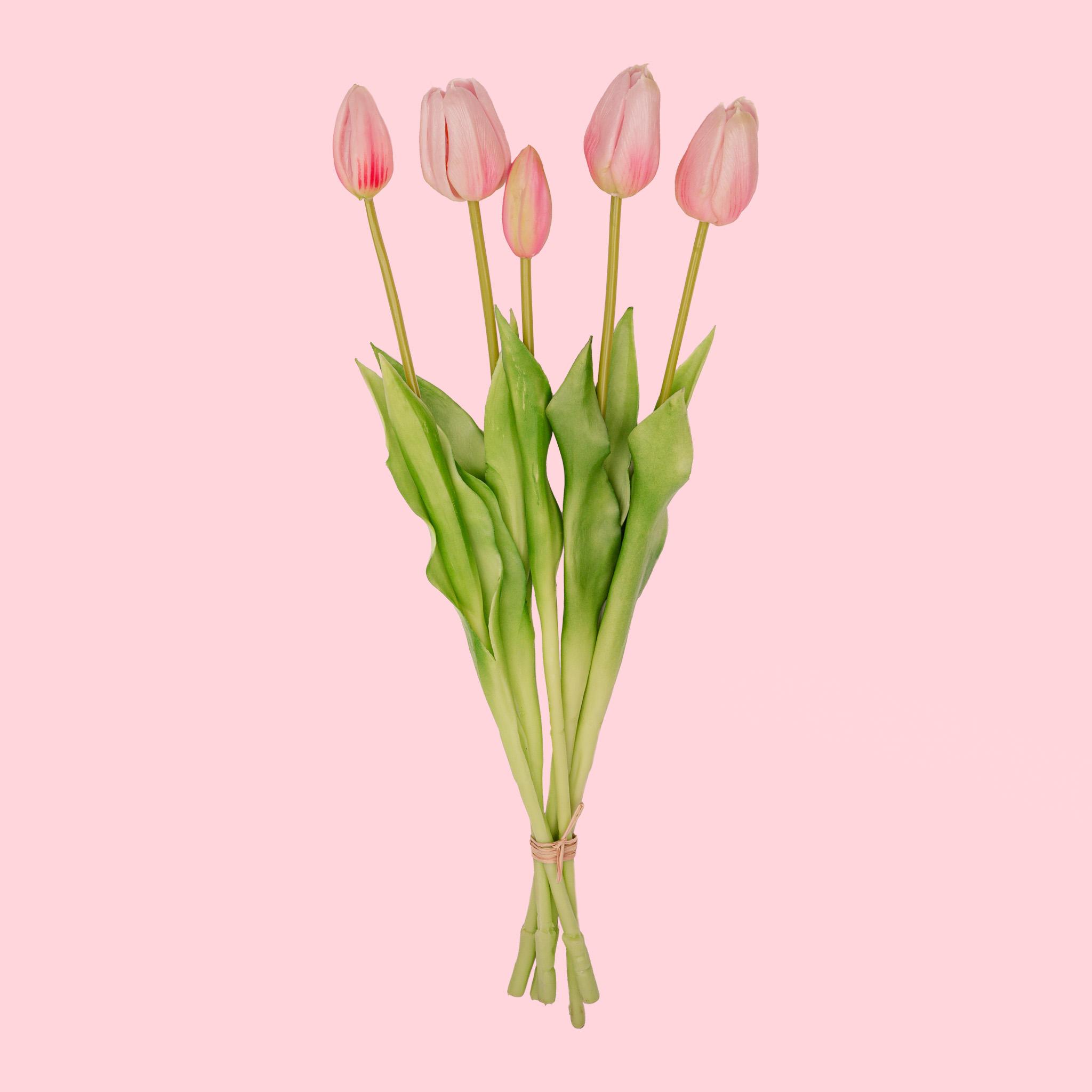 Tulpen boeket Pink en pot. Plante verte type Tulpen boeket Pink, livrée en pot, idéale pour intérieur lumineux.