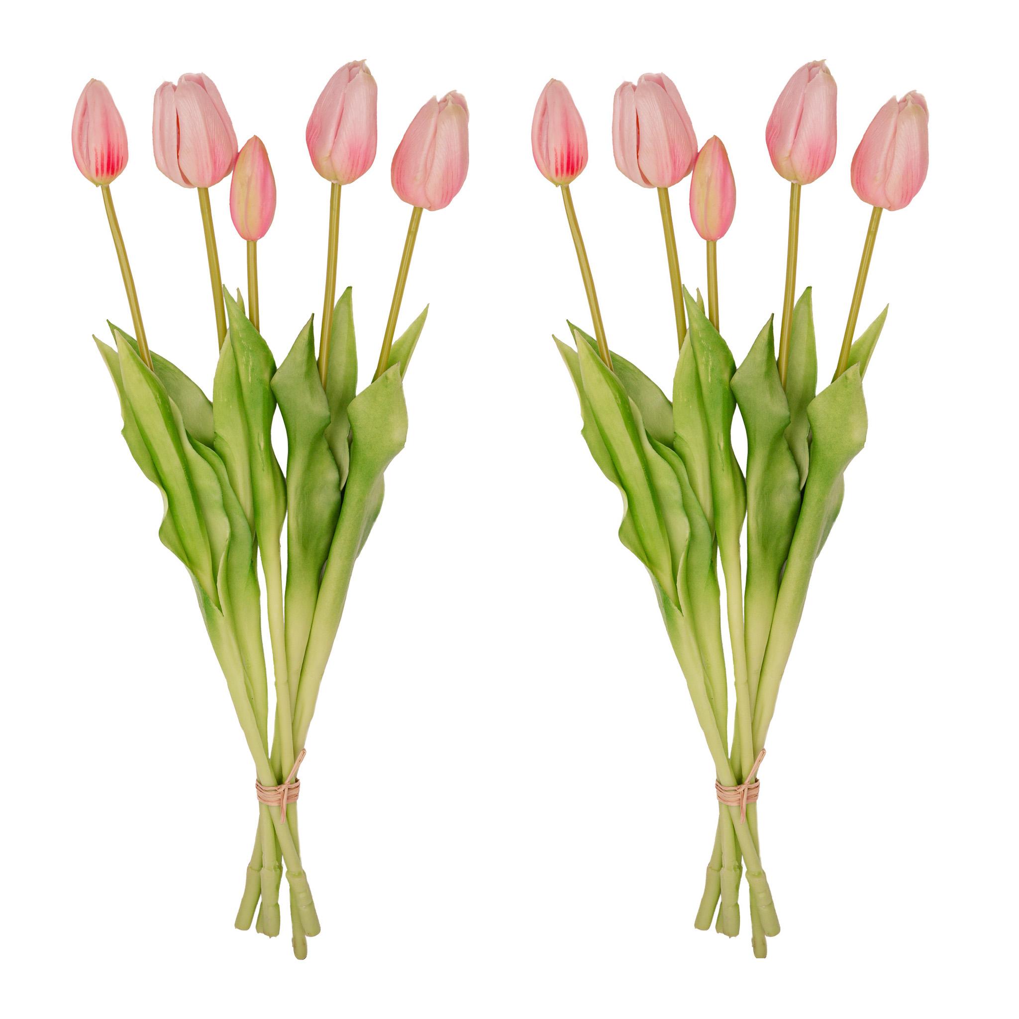 Tulpen boeket Roze en pot. Plante verte type Tulpen boeket Roze, livrée en pot, idéale pour intérieur lumineux.
