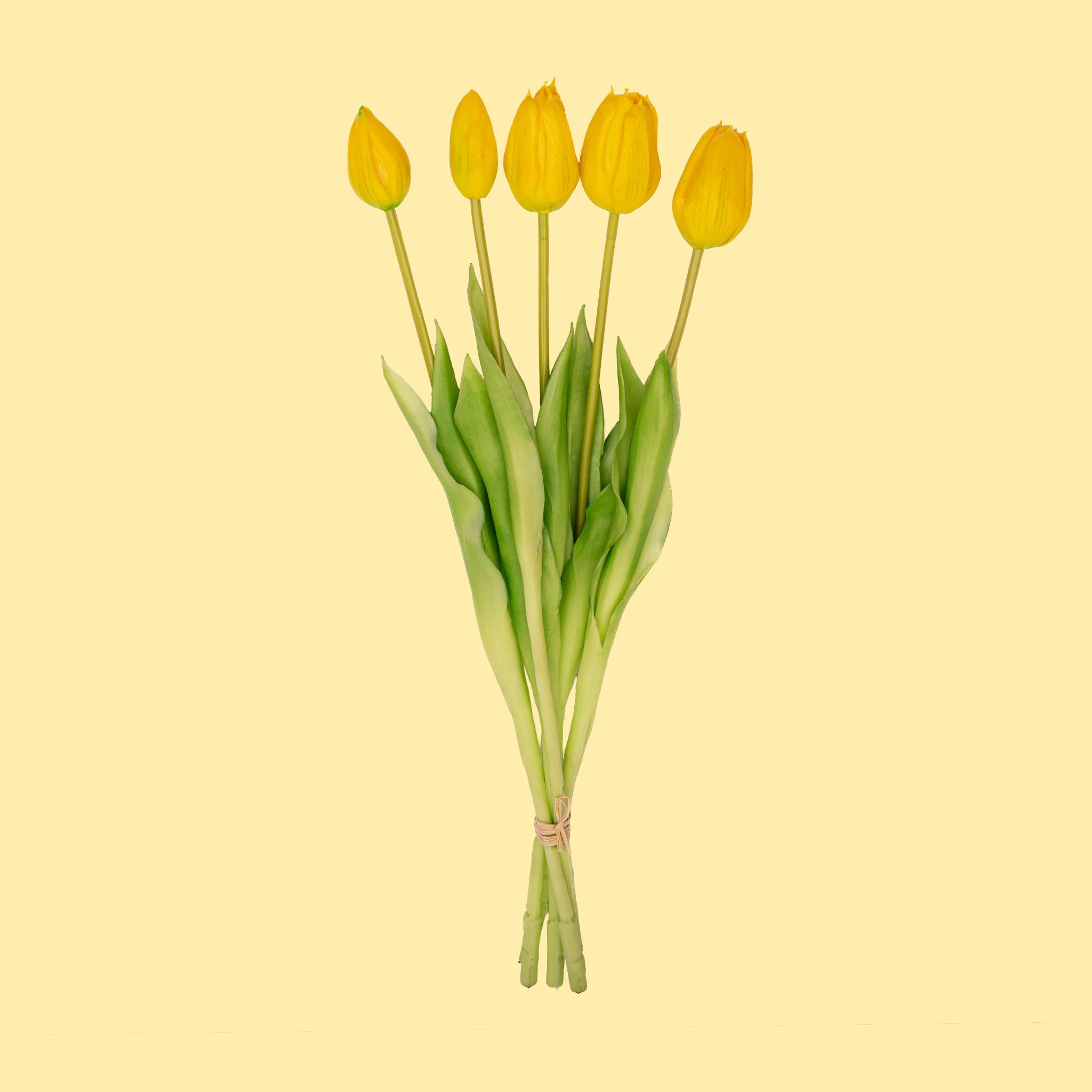 Tulpen boeket Geel en pot. Plante verte type Tulpen boeket Geel, livrée en pot, idéale pour intérieur lumineux.