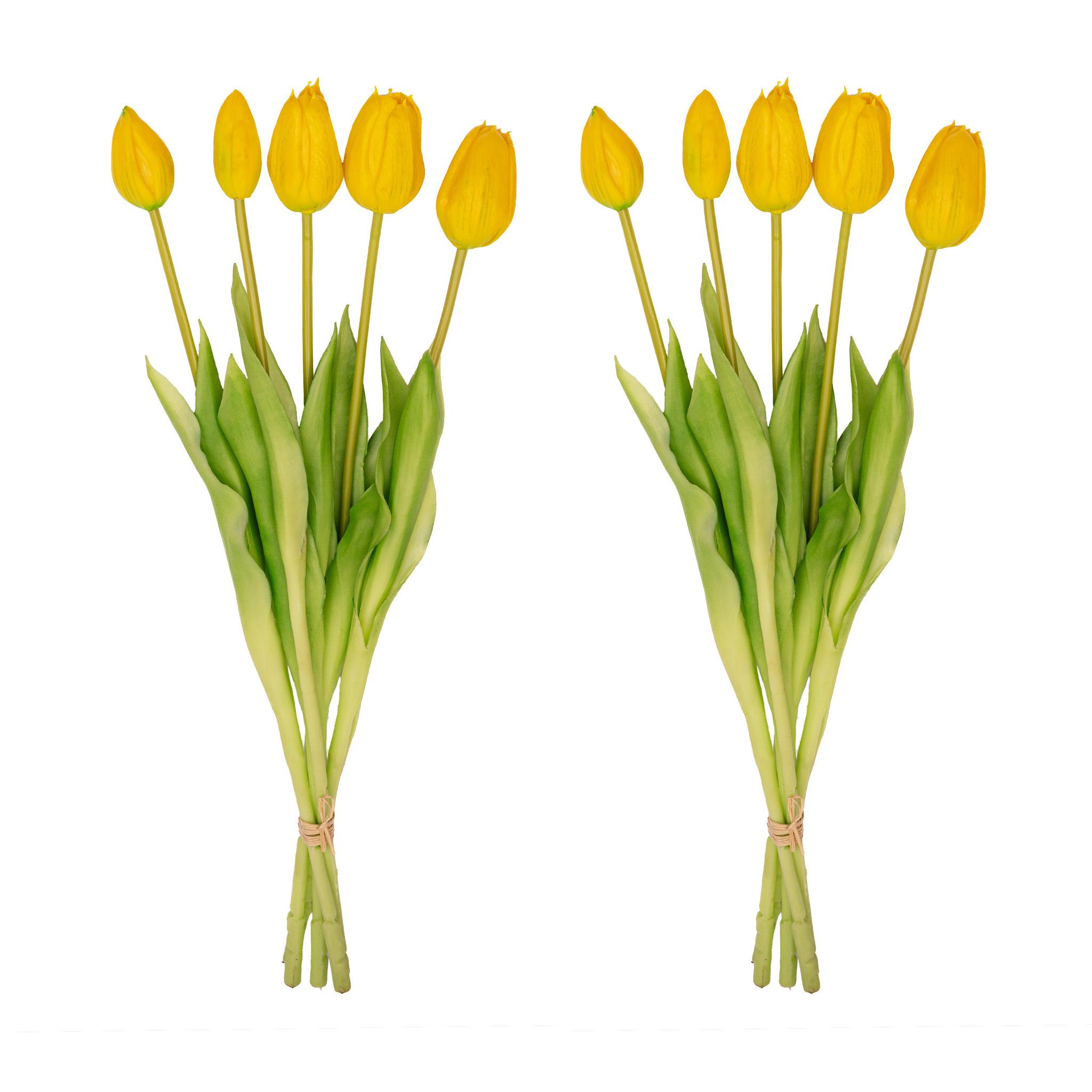 Tulpen boeket Geel en pot. Plante verte type Tulpen boeket Geel, livrée en pot, idéale pour intérieur lumineux.