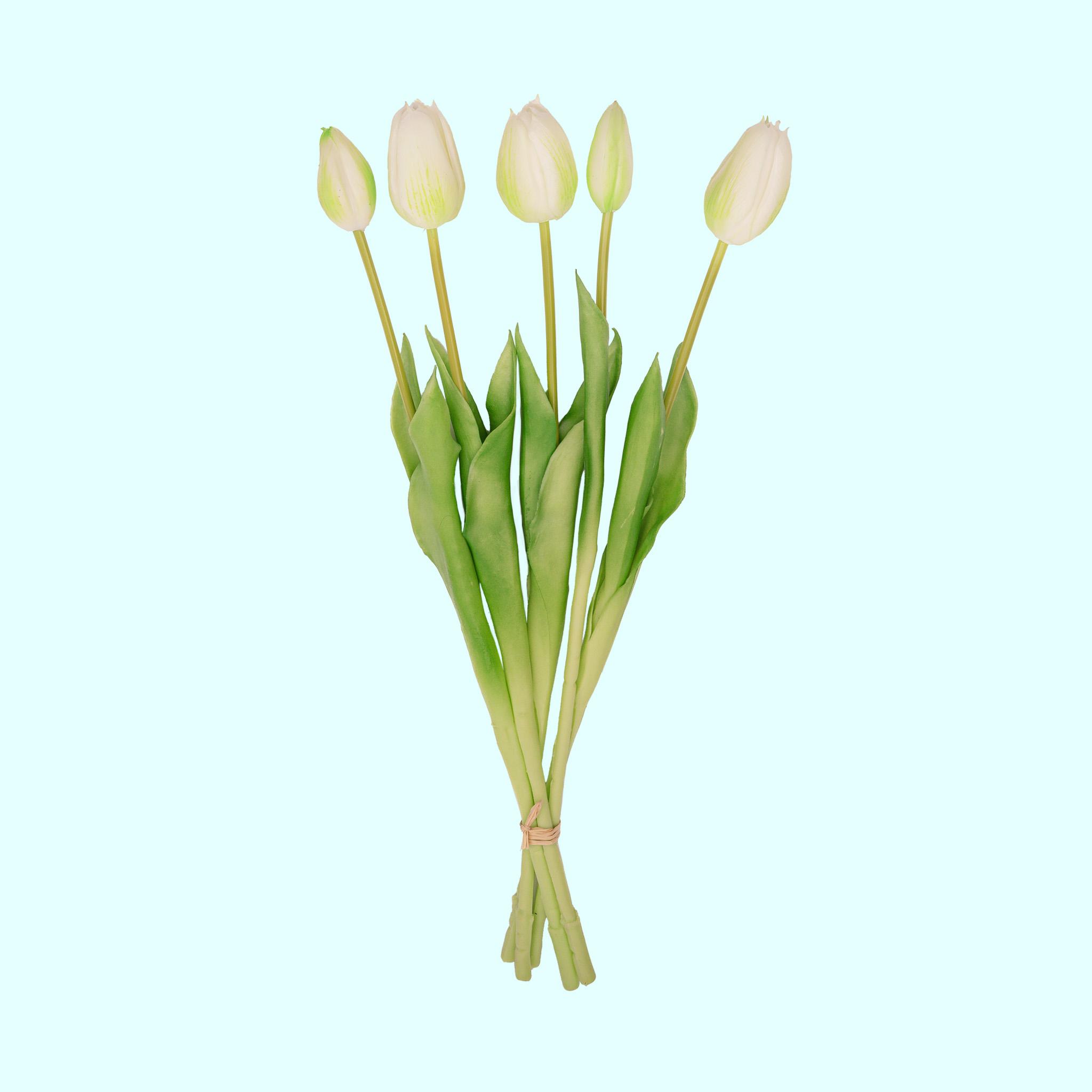 Tulpen boeket Wit/Groen en pot. Plante verte type Tulpen boeket Wit/Groen, livrée en pot, idéale pour intérieur lumineux.