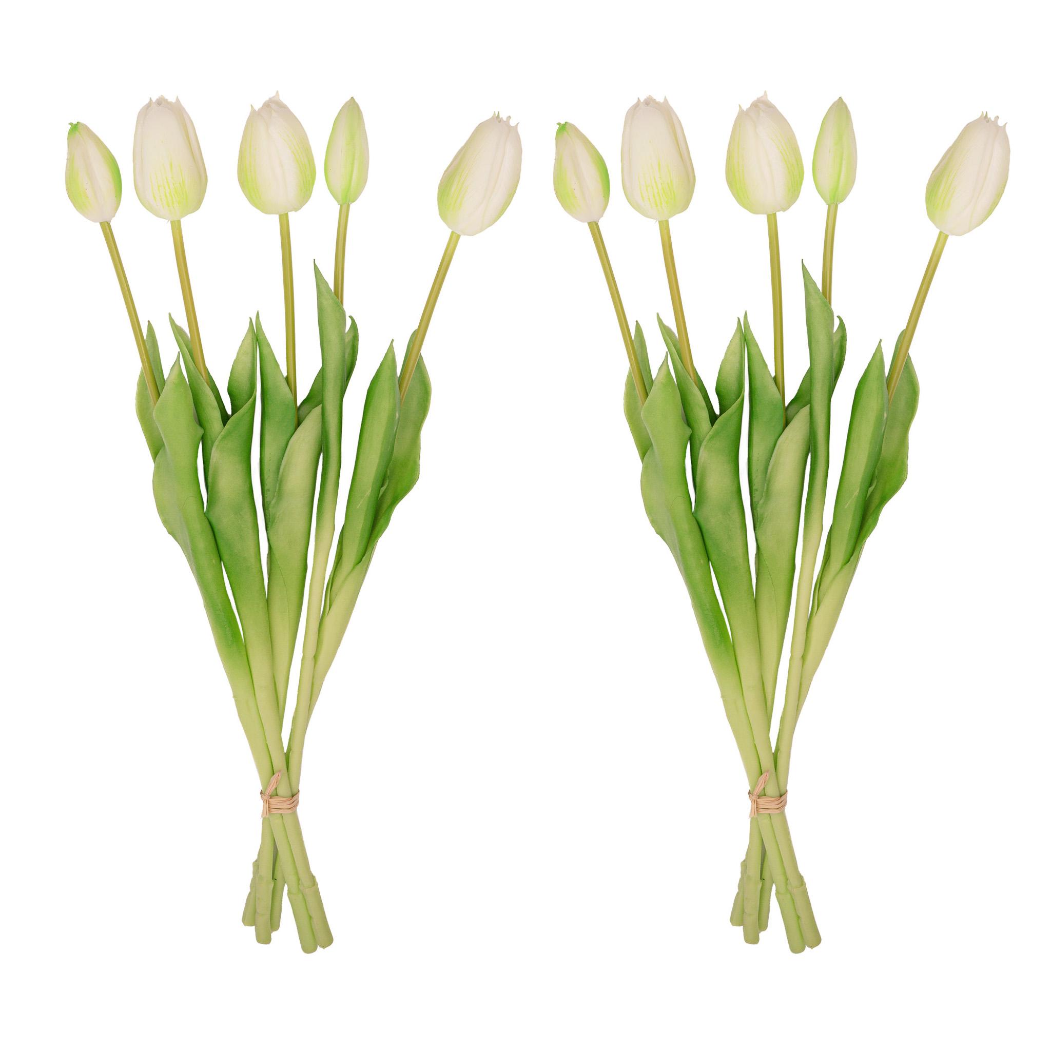 Tulpen boeket Wit/Groen en pot. Plante verte type Tulpen boeket Wit/Groen, livrée en pot, idéale pour intérieur lumineux.