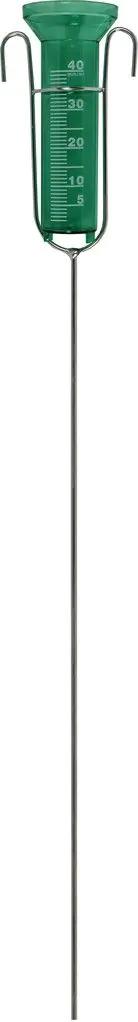 Regenmeter 40ml steel 95cm en pot. Plante verte type Regenmeter 40ml steel 95cm, livrée en pot, idéale pour intérieur lumineux.