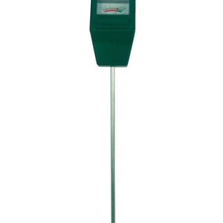 pH en pot. Plante verte type pH, livrée en pot, idéale pour intérieur lumineux.
