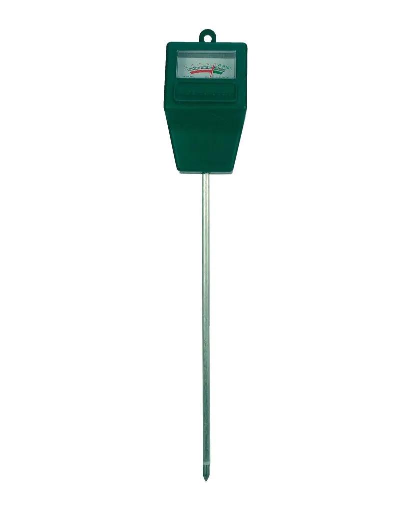 pH en pot. Plante verte type pH, livrée en pot, idéale pour intérieur lumineux.