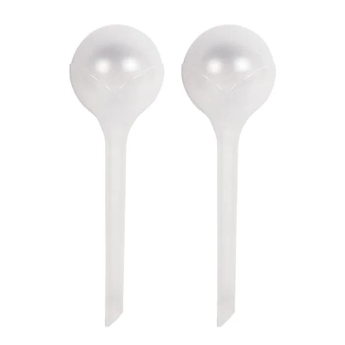 waterdruppelaar en pot. Plante verte type waterdruppelaar, livrée en pot, idéale pour intérieur lumineux.