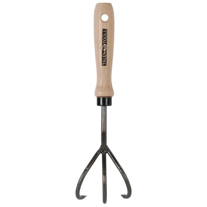 Handkrabber en pot. Plante verte type Handkrabber, livrée en pot, idéale pour intérieur lumineux.