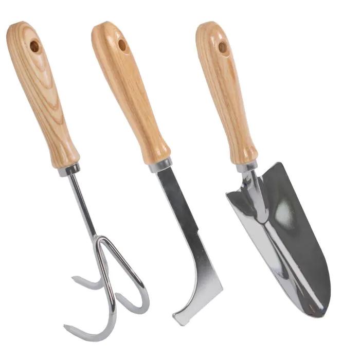Tuingereedschapset en pot. Plante verte type Tuingereedschapset, livrée en pot, idéale pour intérieur lumineux.