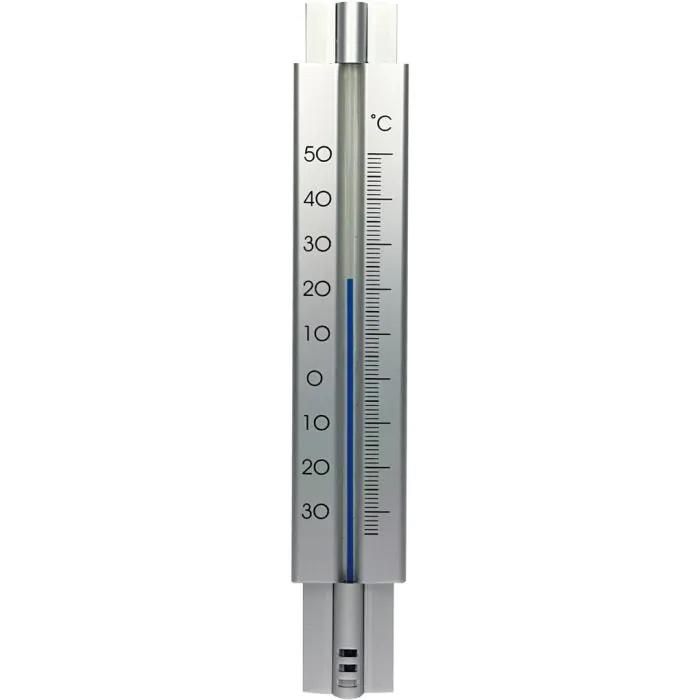 Thermometer en pot. Plante verte type Thermometer, livrée en pot, idéale pour intérieur lumineux.