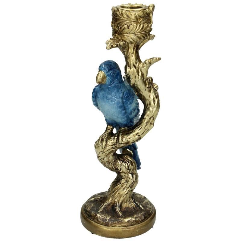 Kandelaar Vogel Blauw en pot. Plante verte type Kandelaar Vogel Blauw, livrée en pot, idéale pour intérieur lumineux.