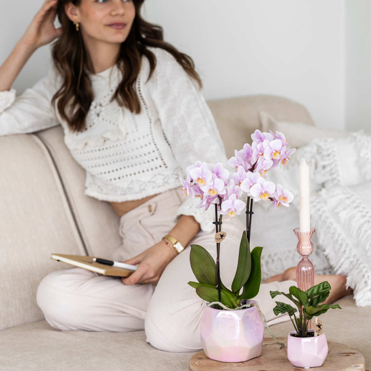 Kolibri Home I Pearl pot en pot Ø6cm. Plante verte type Kolibri Home I Pearl pot, livrée en pot, idéale pour intérieur lumineux. – Image 3