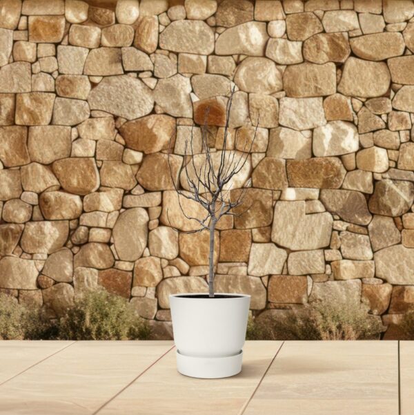Ficus Carica op stam en pot Ø48cm. Plante verte type Ficus Carica op stam, livrée en pot, idéale pour intérieur lumineux. – Image 4