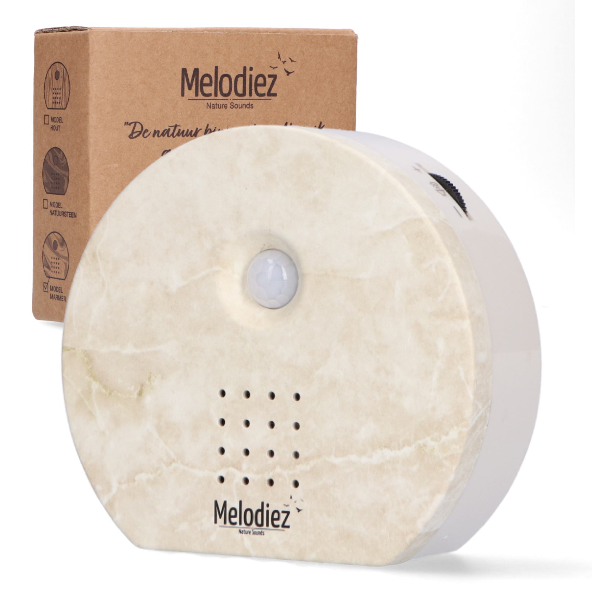 Melodiez music box en pot. Plante verte type Melodiez music box, livrée en pot, idéale pour intérieur lumineux.