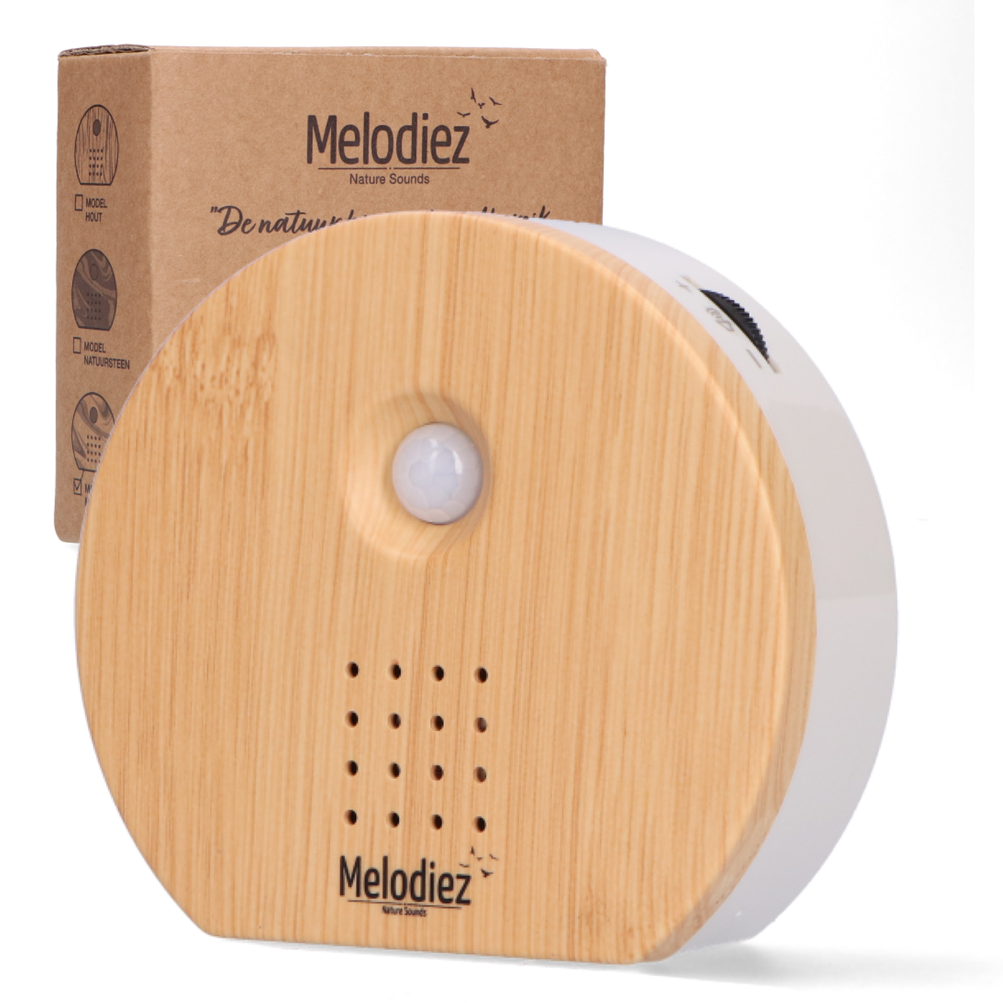 Melodiez music box en pot. Plante verte type Melodiez music box, livrée en pot, idéale pour intérieur lumineux.