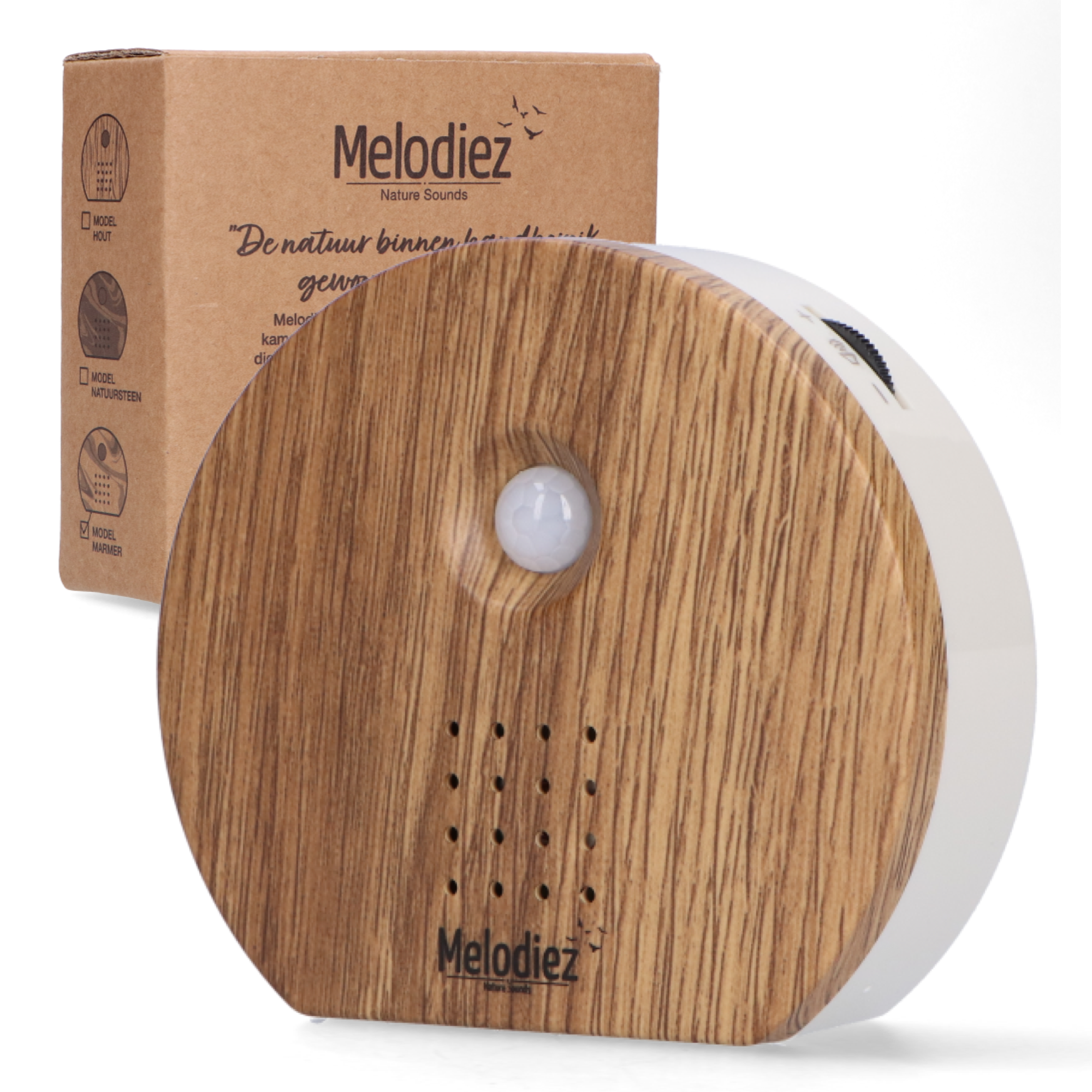 Melodiez music box en pot. Plante verte type Melodiez music box, livrée en pot, idéale pour intérieur lumineux.