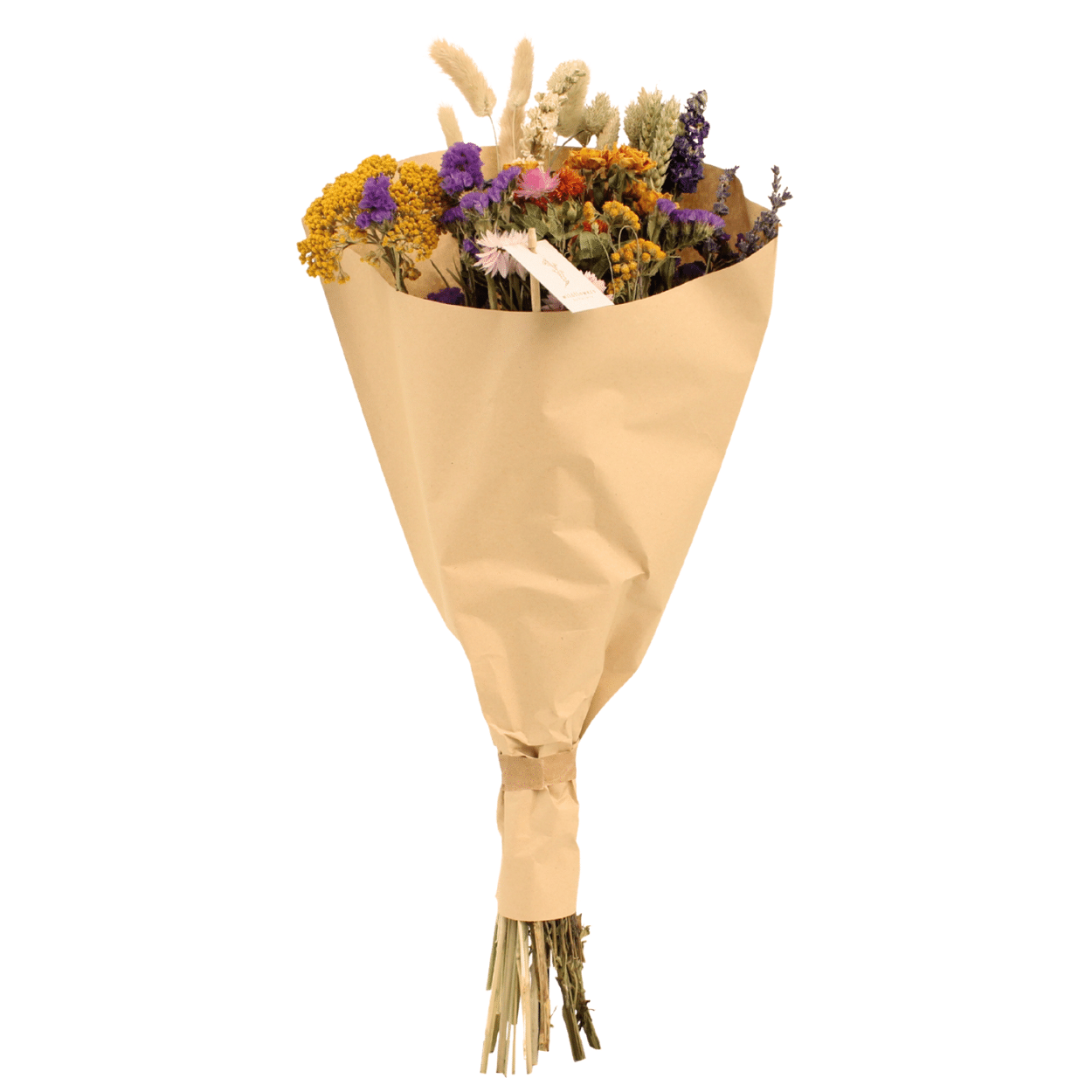 Droogbloemen Field Bouquet Multi en pot Ø25cm  Hauteur 60cm. Plante verte type Droogbloemen Field Bouquet Multi, livrée en pot, idéale pour intérieur lumineux.