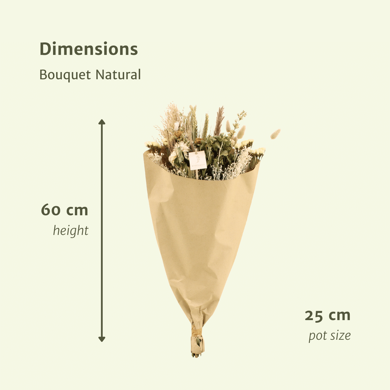 Droogbloemen Field Bouquet Natural en pot Ø25cm  Hauteur 60cm. Plante verte type Droogbloemen Field Bouquet Natural, livrée en pot, idéale pour intérieur lumineux. – Image 2