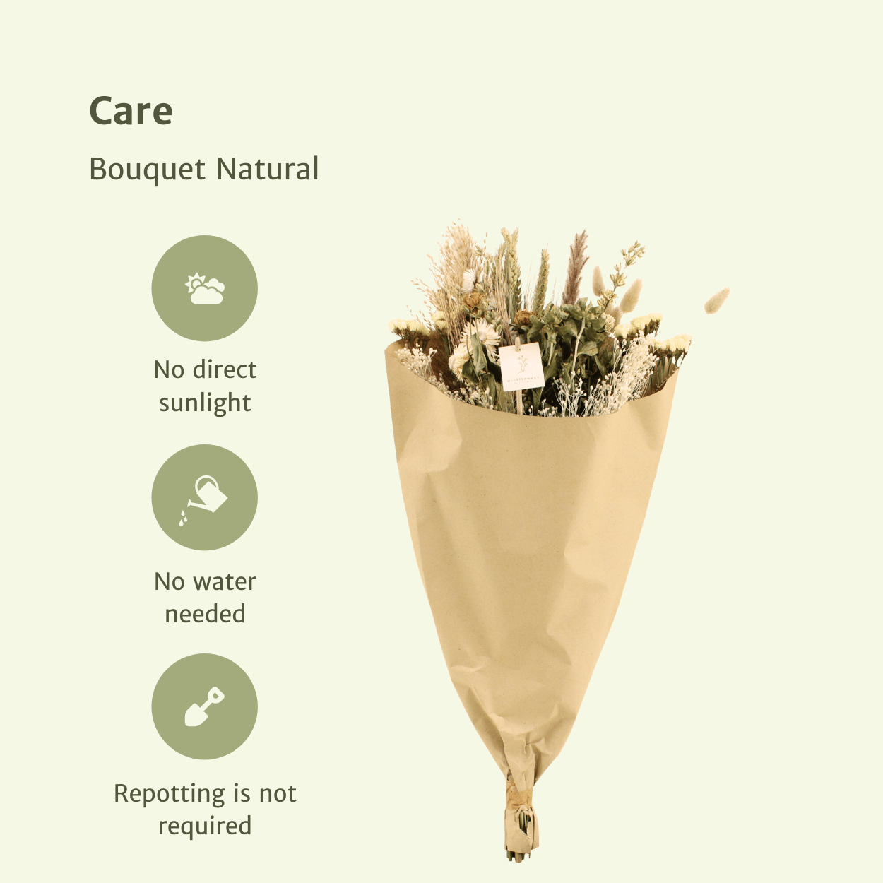 Droogbloemen Field Bouquet Natural en pot Ø25cm  Hauteur 60cm. Plante verte type Droogbloemen Field Bouquet Natural, livrée en pot, idéale pour intérieur lumineux. – Image 3