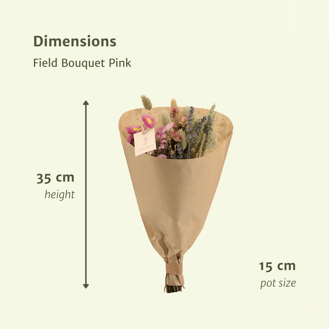Droogbloemen Field Bouquet Pink en pot Ø15cm  Hauteur 35cm. Plante verte type Droogbloemen Field Bouquet Pink, livrée en pot, idéale pour intérieur lumineux.