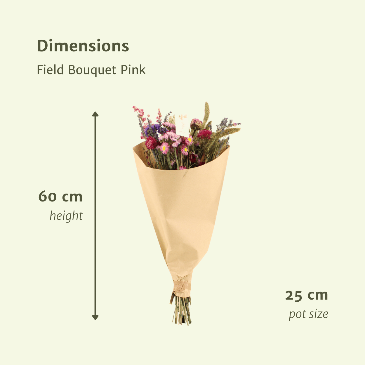 Droogbloemen Field Bouquet Pink en pot Ø25cm  Hauteur 60cm. Plante verte type Droogbloemen Field Bouquet Pink, livrée en pot, idéale pour intérieur lumineux. – Image 2