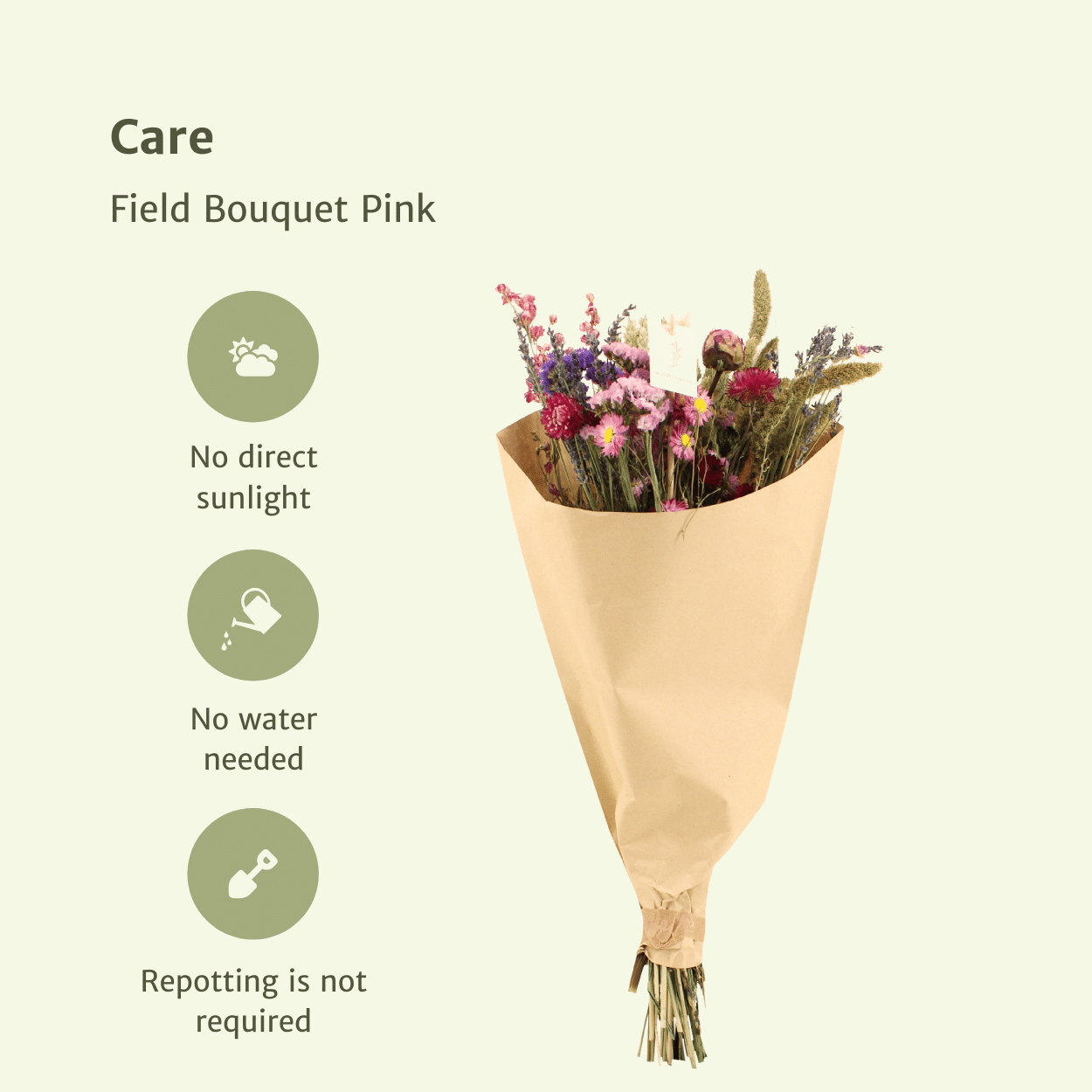 Droogbloemen Field Bouquet Pink en pot Ø25cm  Hauteur 60cm. Plante verte type Droogbloemen Field Bouquet Pink, livrée en pot, idéale pour intérieur lumineux. – Image 3