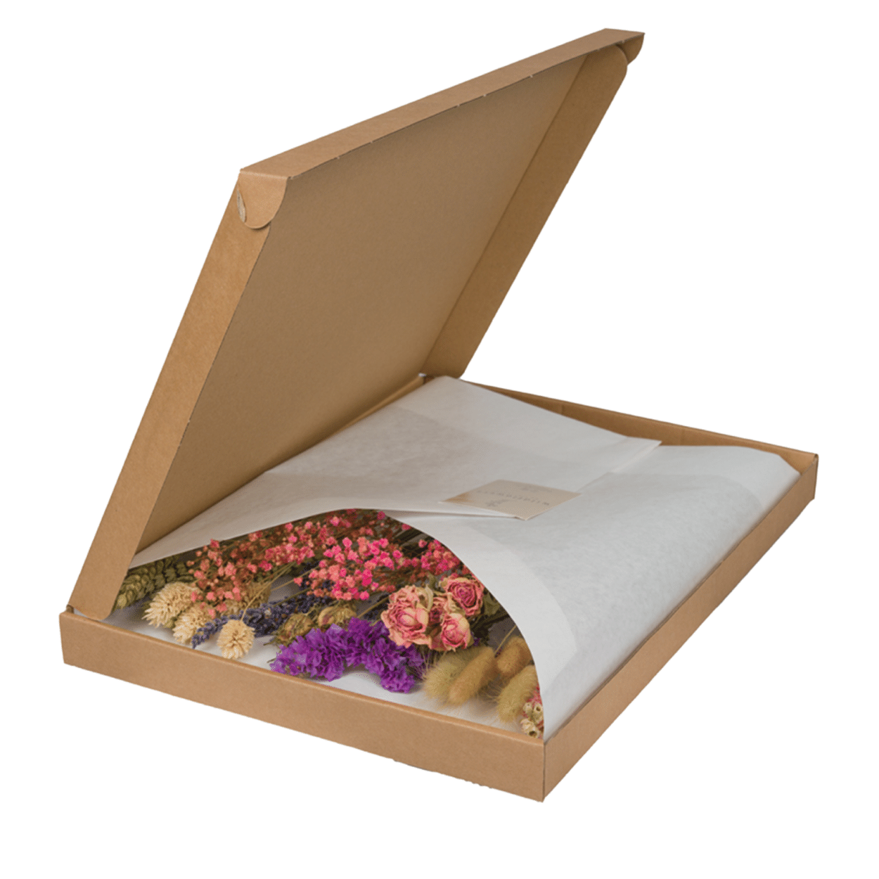 Droogbloemen in Letterbox en pot. Plante verte type Droogbloemen in Letterbox, livrée en pot, idéale pour intérieur lumineux.