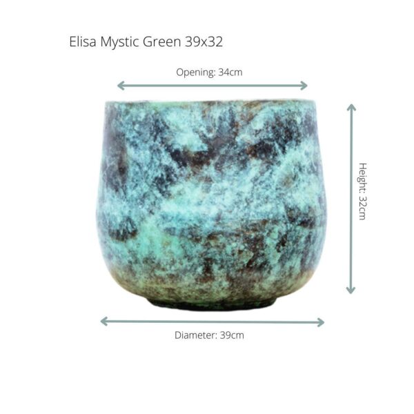 Elisa Mystic Green en pot  Hauteur 32cm. Plante verte type Elisa Mystic Green, livrée en pot, idéale pour intérieur lumineux. – Image 2