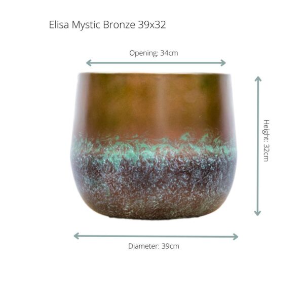 Elisa Mystic Bronze en pot. Plante verte type Elisa Mystic Bronze, livrée en pot, idéale pour intérieur lumineux. – Image 2