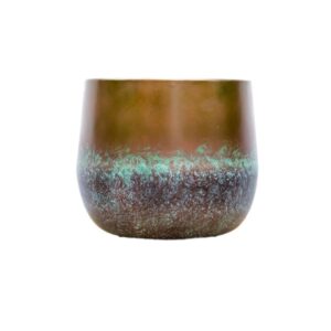 Elisa Mystic Bronze en pot. Plante verte type Elisa Mystic Bronze, livrée en pot, idéale pour intérieur lumineux.