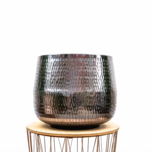 Jenna Lead en pot. Plante verte type Jenna Lead, livrée en pot, idéale pour intérieur lumineux.