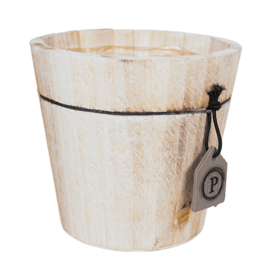 Houten sierpot en pot. Plante verte type Houten sierpot, livrée en pot, idéale pour intérieur lumineux.