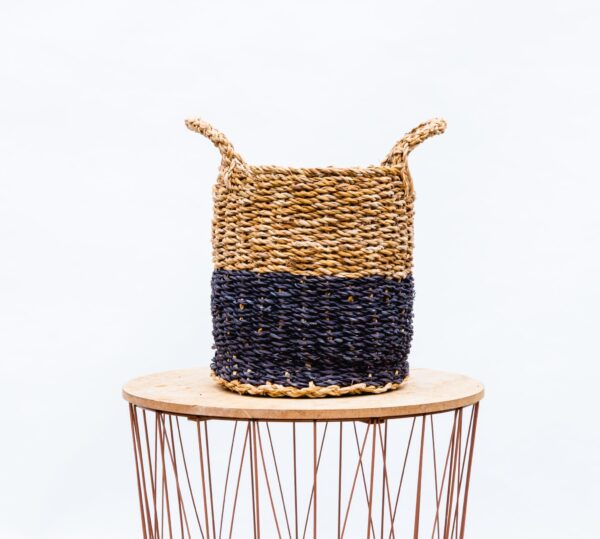 Mand Vic en pot. Plante verte type Mand Vic, livrée en pot, idéale pour intérieur lumineux. – Image 3