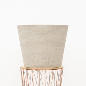 Bucket Beige Washed en pot. Plante verte type Bucket Beige Washed, livrée en pot, idéale pour intérieur lumineux.