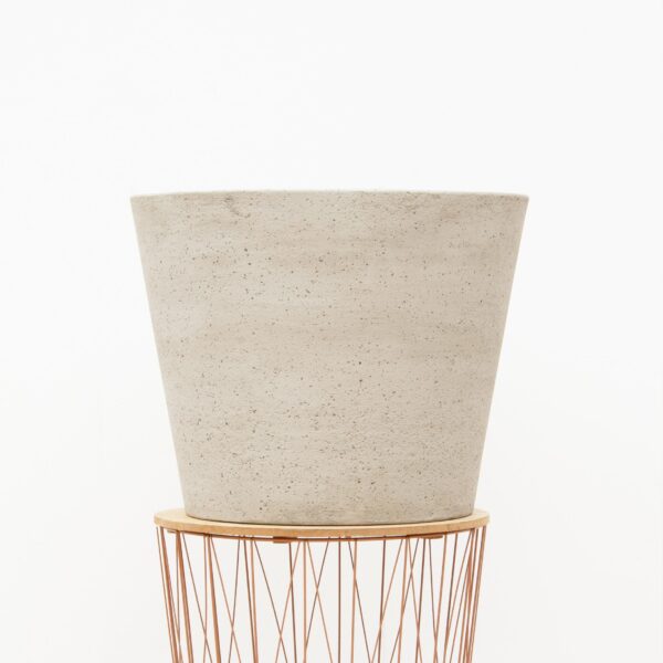 Bucket Beige Washed en pot. Plante verte type Bucket Beige Washed, livrée en pot, idéale pour intérieur lumineux.