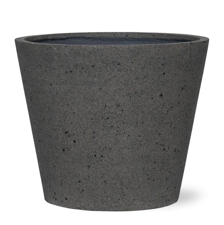 Bucket Laterite Grey en pot. Plante verte type Bucket Laterite Grey, livrée en pot, idéale pour intérieur lumineux.