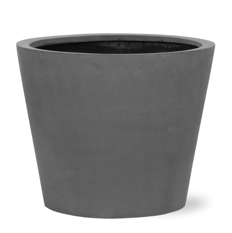 Bucket Grey en pot. Plante verte type Bucket Grey, livrée en pot, idéale pour intérieur lumineux.