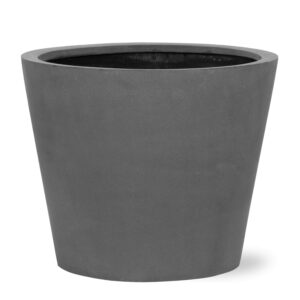 Bucket Grey en pot. Plante verte type Bucket Grey, livrée en pot, idéale pour intérieur lumineux.