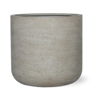 Jumbo Charlie Beige Washed en pot  Hauteur 52cm. Plante verte type Jumbo Charlie Beige Washed, livrée en pot, idéale pour intérieur lumineux.