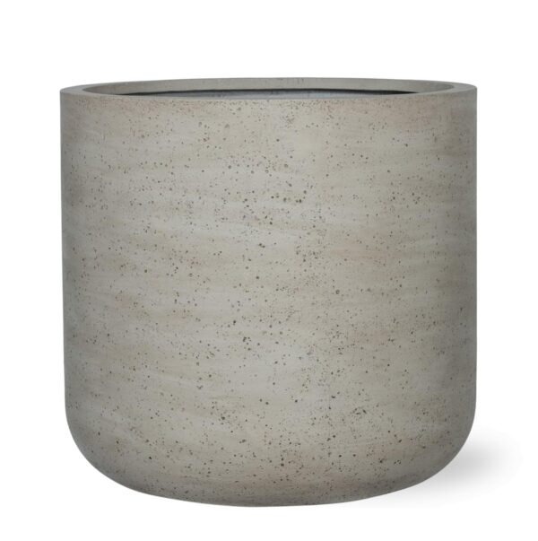 Jumbo Charlie Beige Washed en pot  Hauteur 52cm. Plante verte type Jumbo Charlie Beige Washed, livrée en pot, idéale pour intérieur lumineux.