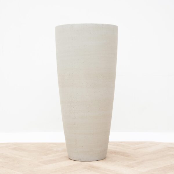 Dax Beige Washed en pot  Hauteur 80cm. Plante verte type Dax Beige Washed, livrée en pot, idéale pour intérieur lumineux. – Image 2