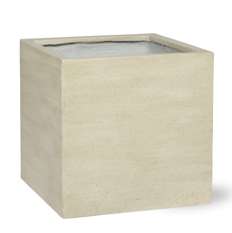 Block Beige Washed en pot  Hauteur 50cm. Plante verte type Block Beige Washed, livrée en pot, idéale pour intérieur lumineux.