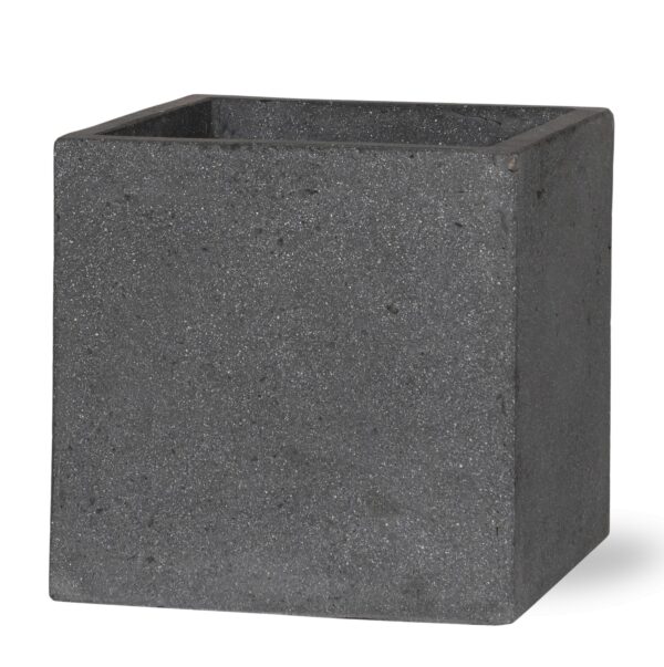 Block Laterite Grey en pot. Plante verte type Block Laterite Grey, livrée en pot, idéale pour intérieur lumineux.