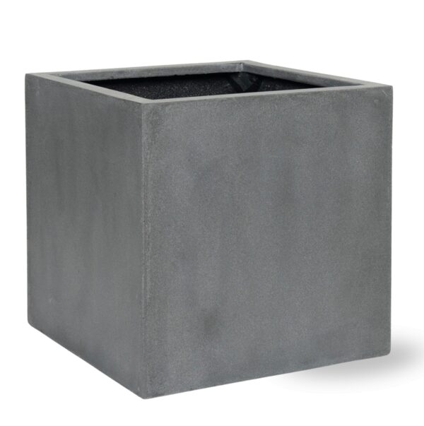 Block Grey en pot  Hauteur 30cm. Plante verte type Block Grey, livrée en pot, idéale pour intérieur lumineux.