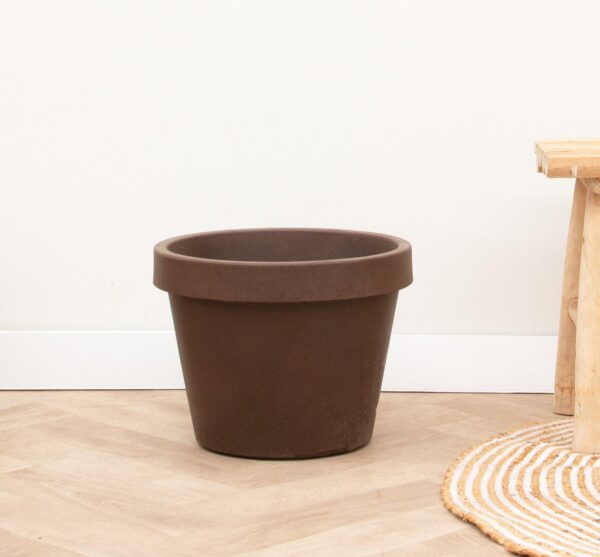 Lira Bronze en pot  Hauteur 76cm. Plante verte type Lira Bronze, livrée en pot, idéale pour intérieur lumineux. – Image 2
