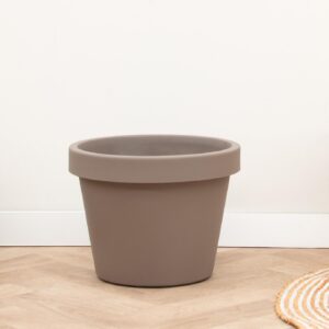 Lira Tortora en pot  Hauteur 68cm. Plante verte type Lira Tortora, livrée en pot, idéale pour intérieur lumineux.