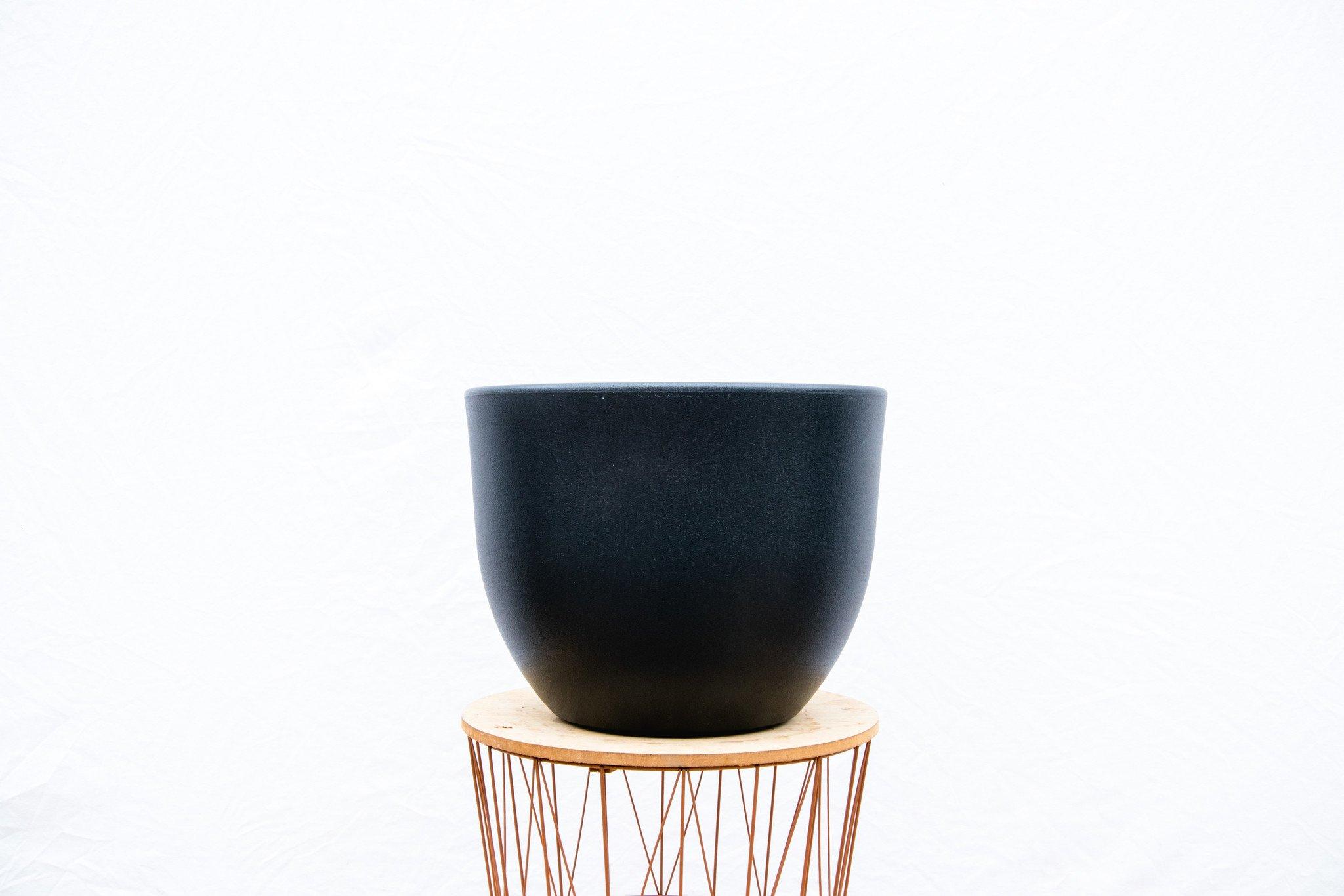 Pot Eggy Antraciet en pot  Hauteur 61cm. Plante verte type Pot Eggy Antraciet, livrée en pot, idéale pour intérieur lumineux. – Image 3
