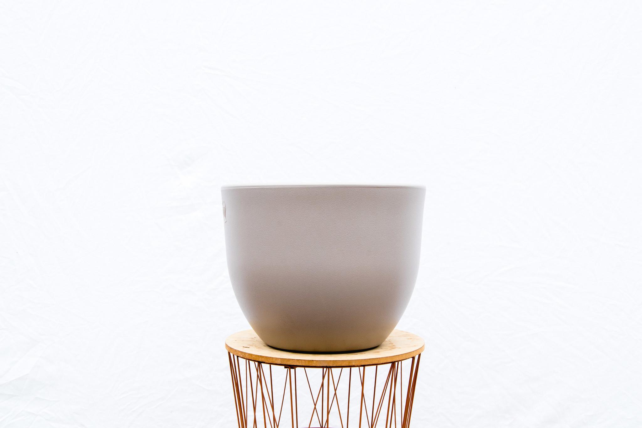 Pot Eggy Taupé en pot  Hauteur 43cm. Plante verte type Pot Eggy Taupé, livrée en pot, idéale pour intérieur lumineux. – Image 3