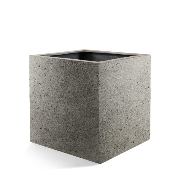 Pot Grigio Cube Natural Concrete en pot  Hauteur 40cm. Plante verte type Pot Grigio Cube Natural Concrete, livrée en pot, idéale pour intérieur lumineux.